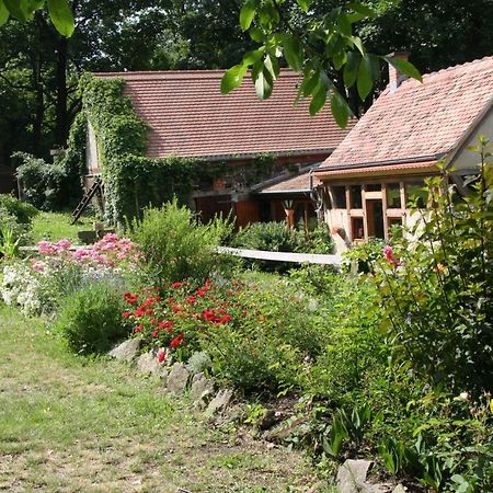 Poncet'Sches Herrenhaus Дрезден Екстериор снимка