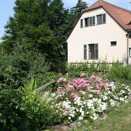 Poncet'Sches Herrenhaus Дрезден Екстериор снимка