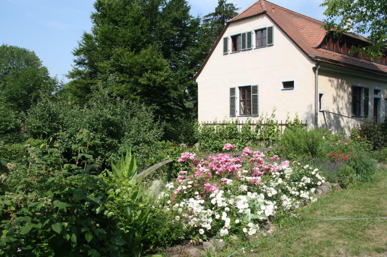 Poncet'Sches Herrenhaus Дрезден Екстериор снимка